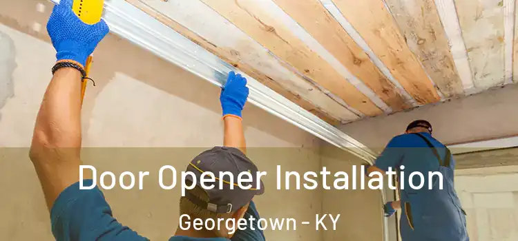  Door Opener Installation Georgetown - KY